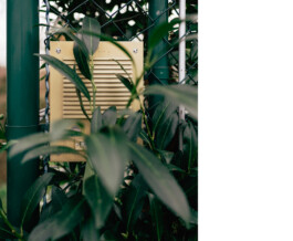 Benjamin Sauer - Fotograf