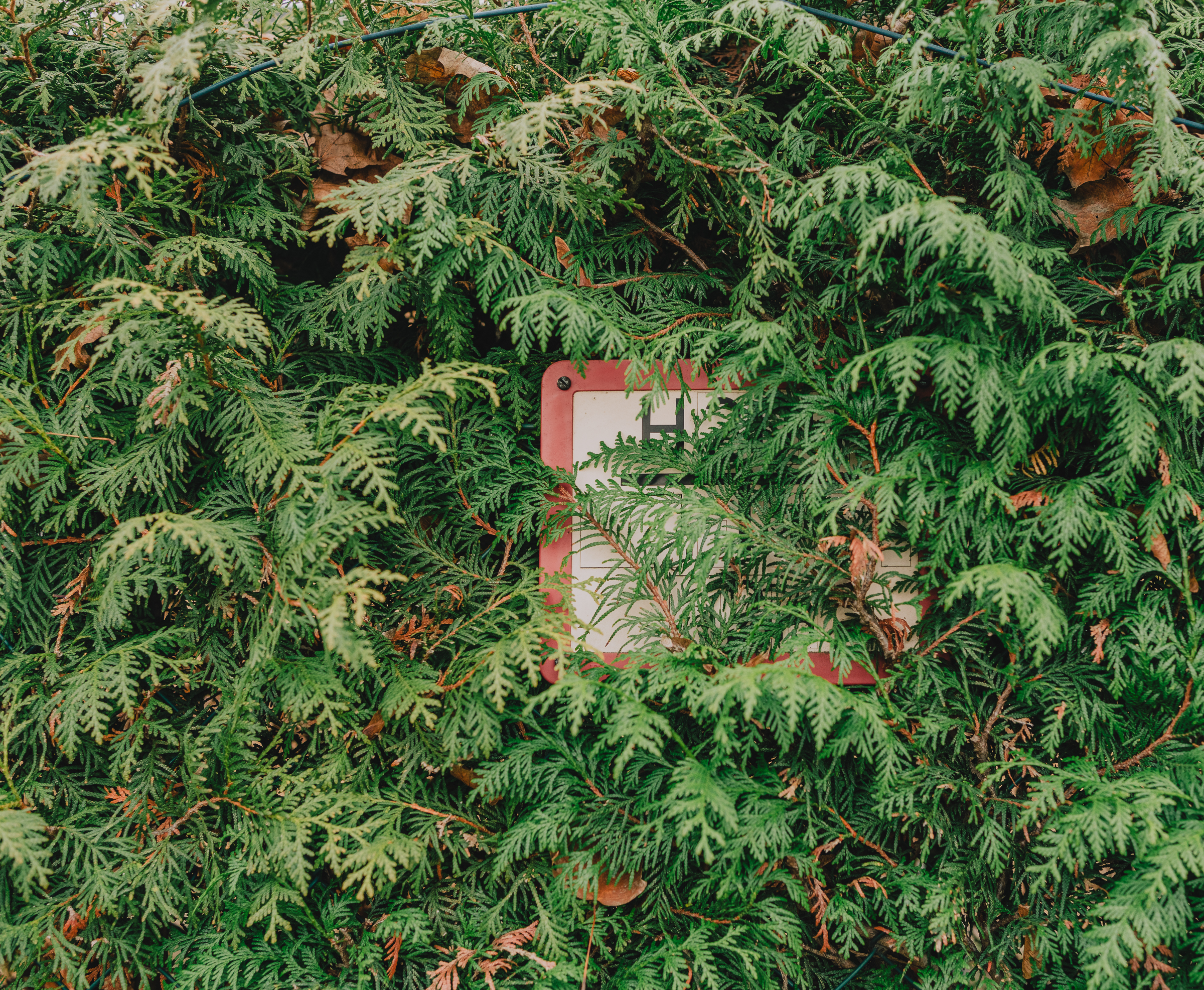 Benjamin Sauer - Fotograf