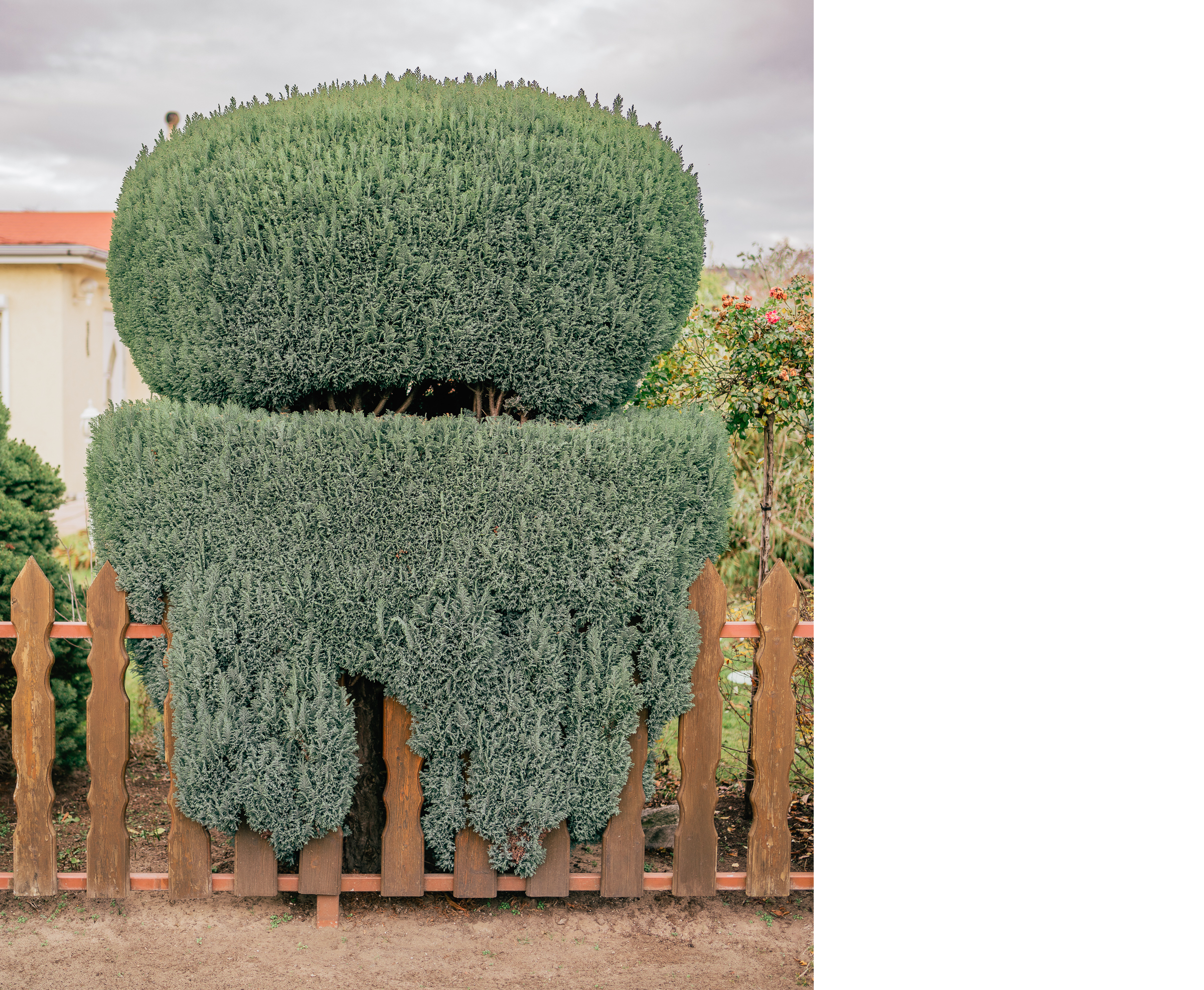 Benjamin Sauer - Fotograf