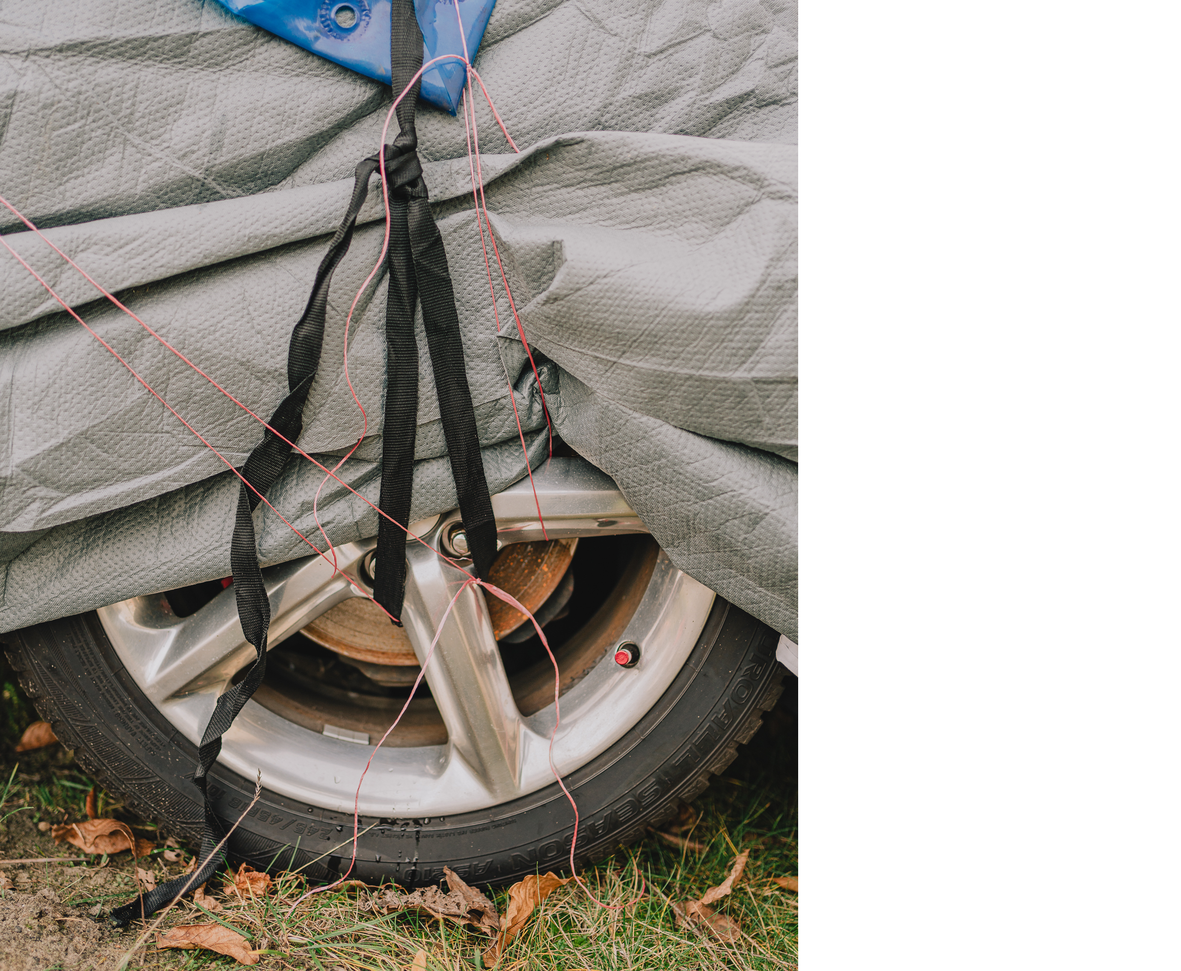 Benjamin Sauer - Fotograf