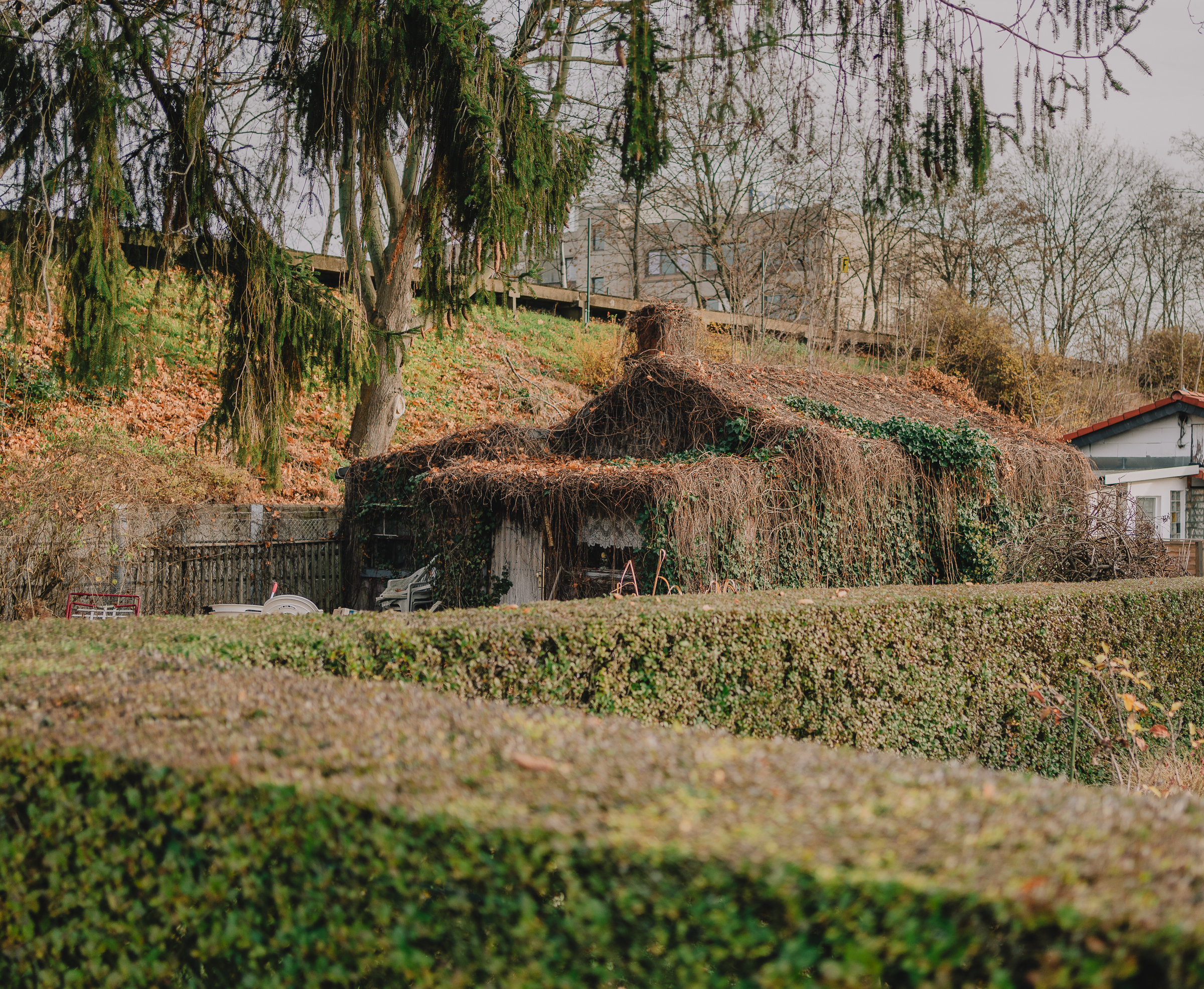Benjamin Sauer - Fotograf