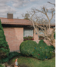 Benjamin Sauer - Fotograf