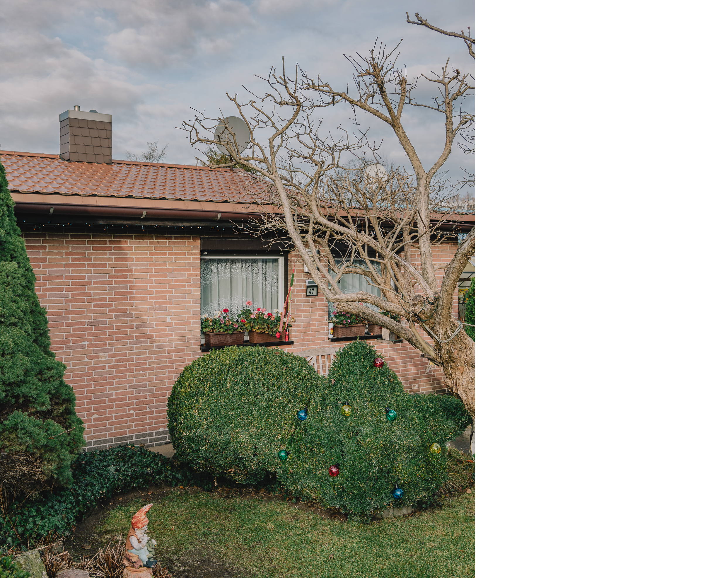 Benjamin Sauer - Fotograf