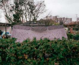 Benjamin Sauer - Fotograf