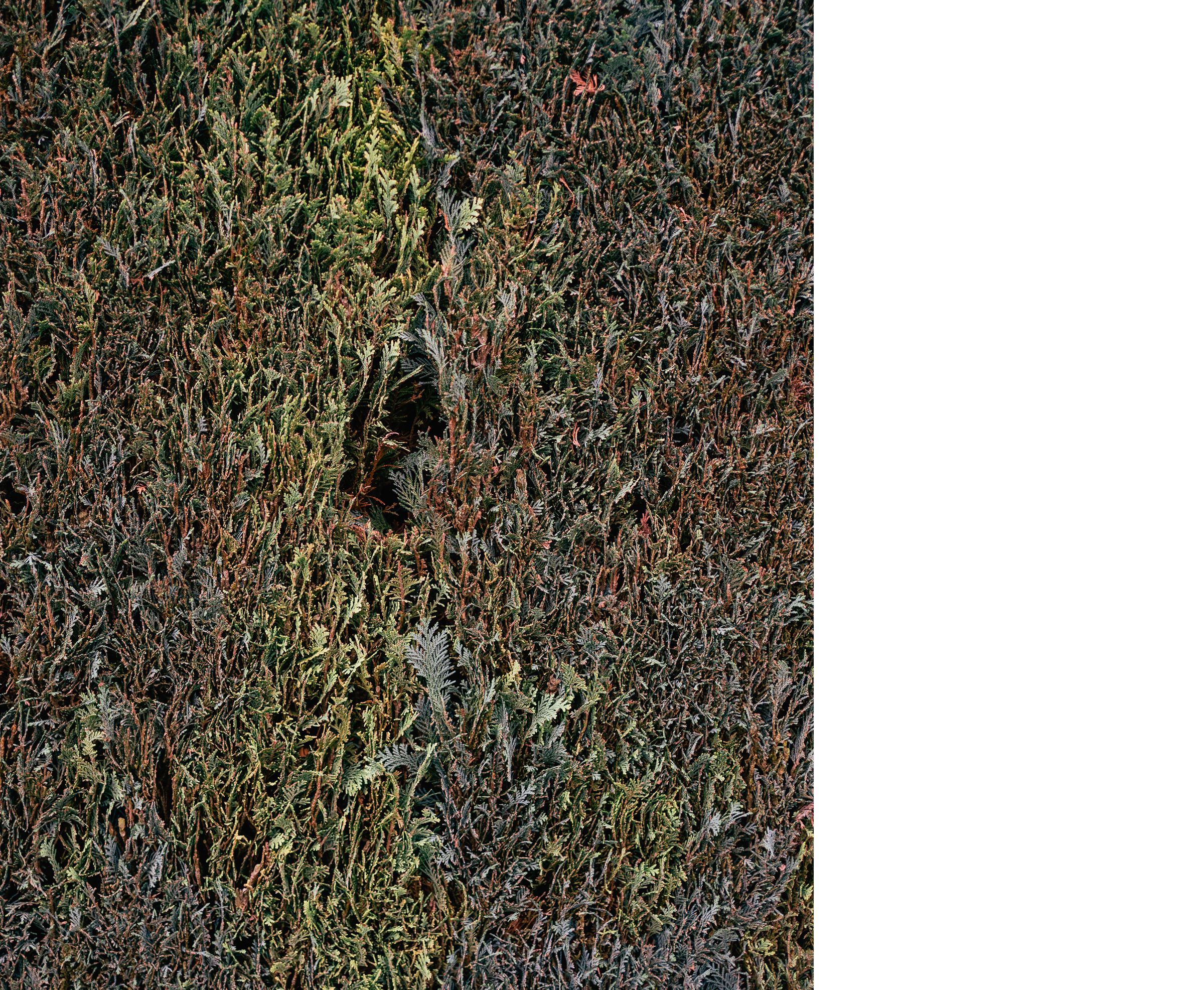 Benjamin Sauer - Fotograf