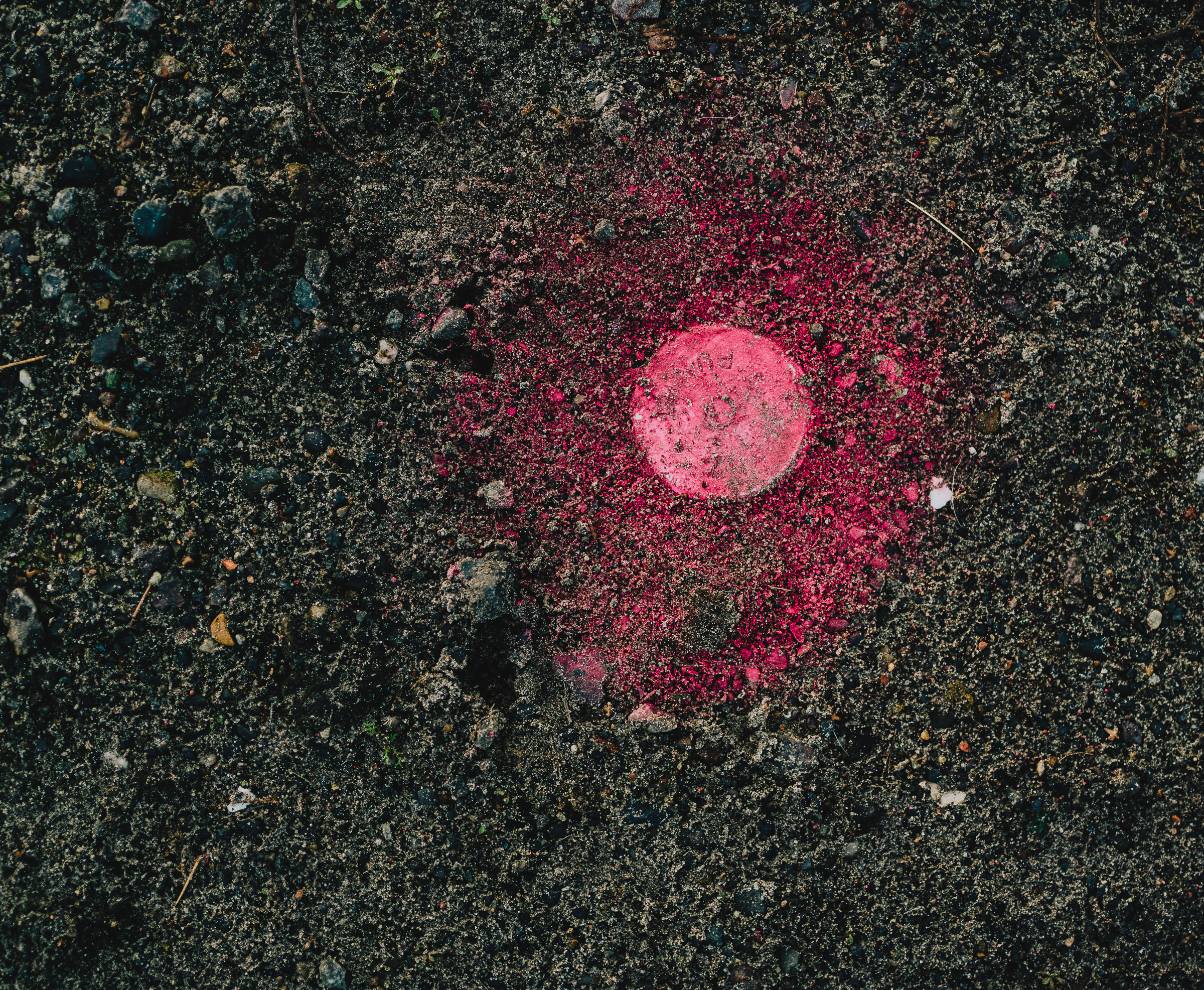 Benjamin Sauer - Fotograf