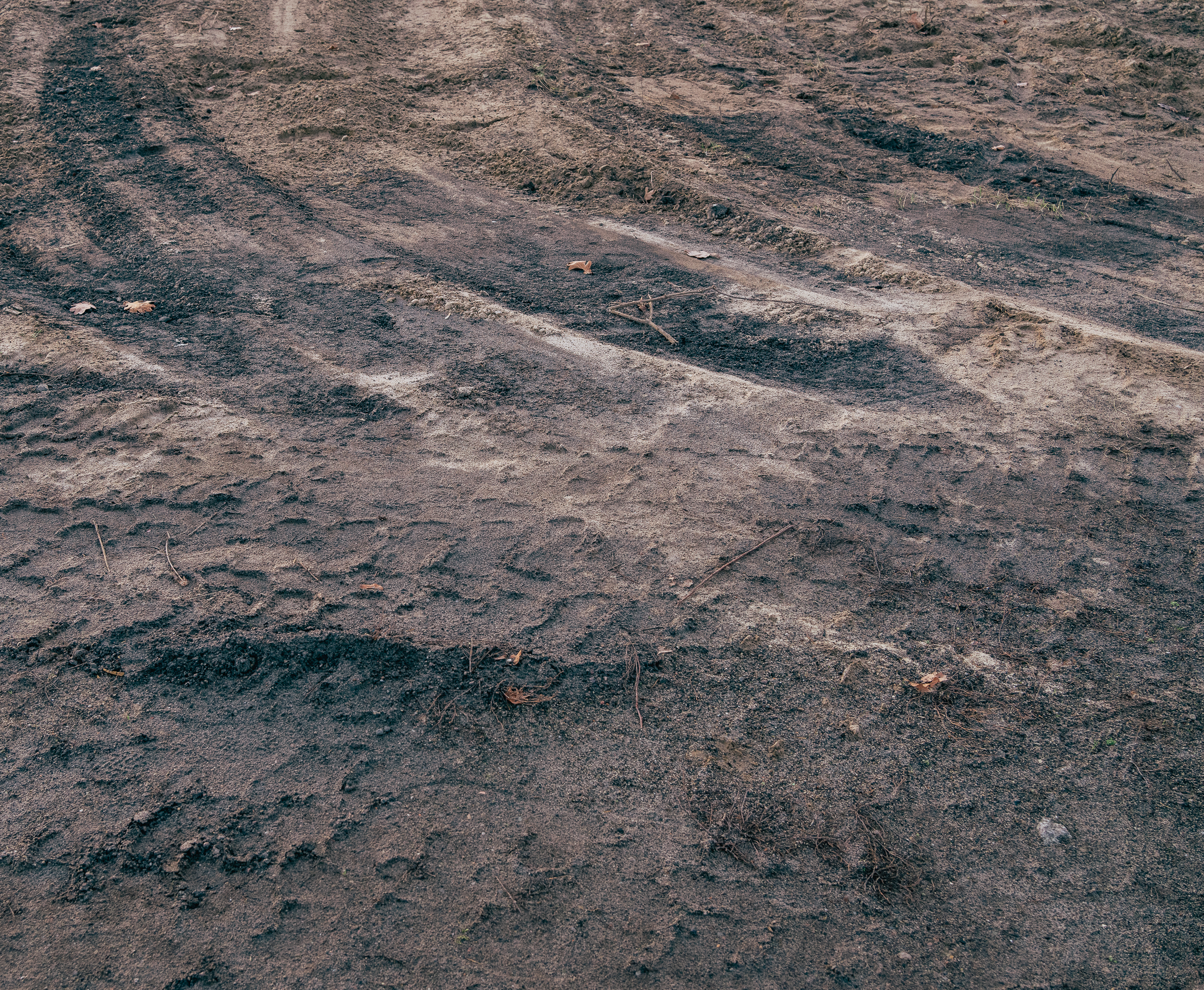 Benjamin Sauer - Fotograf