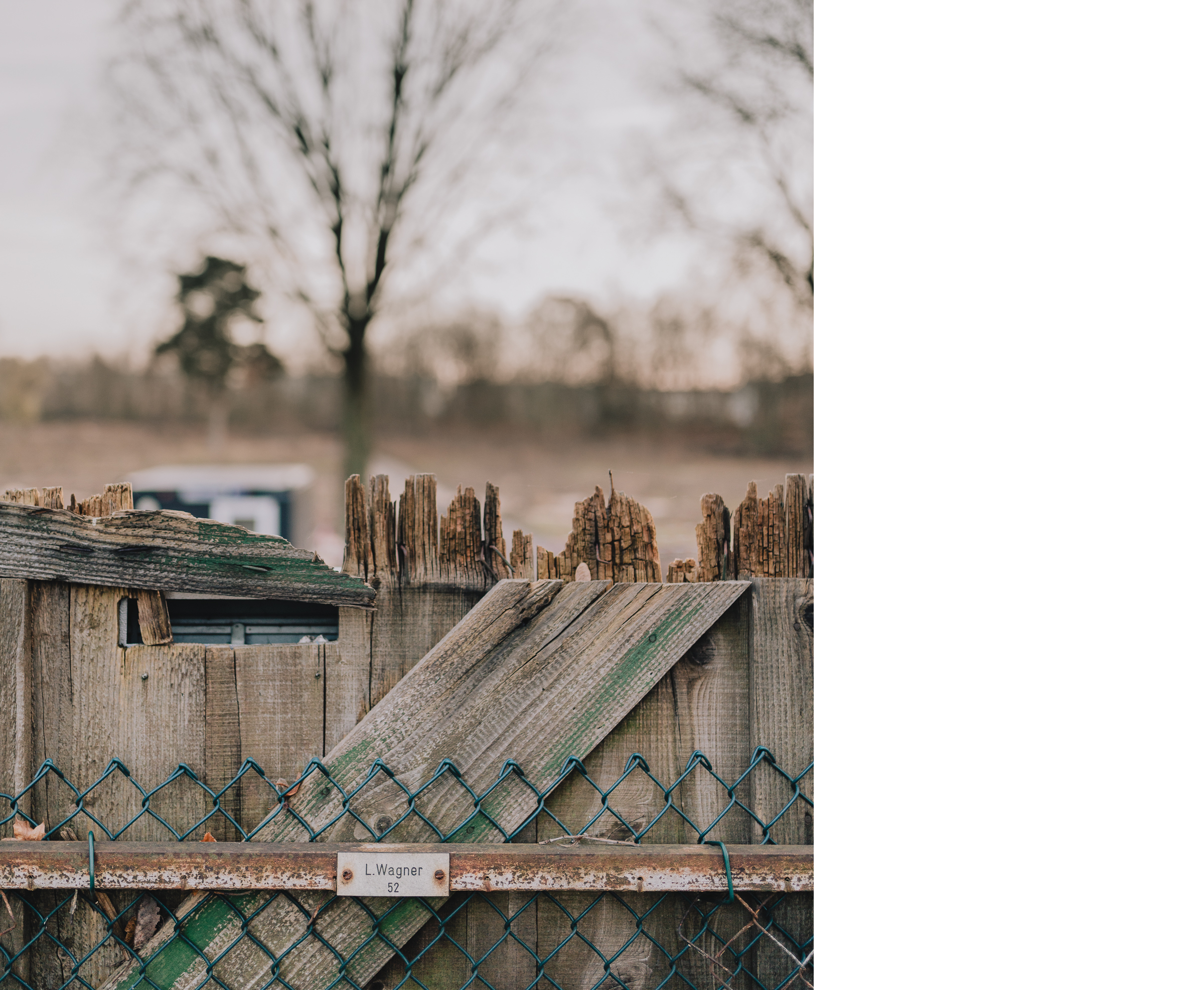 Benjamin Sauer - Fotograf