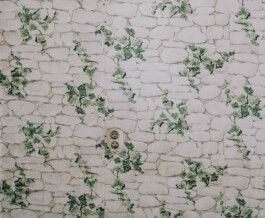 Benjamin Sauer - Fotograf