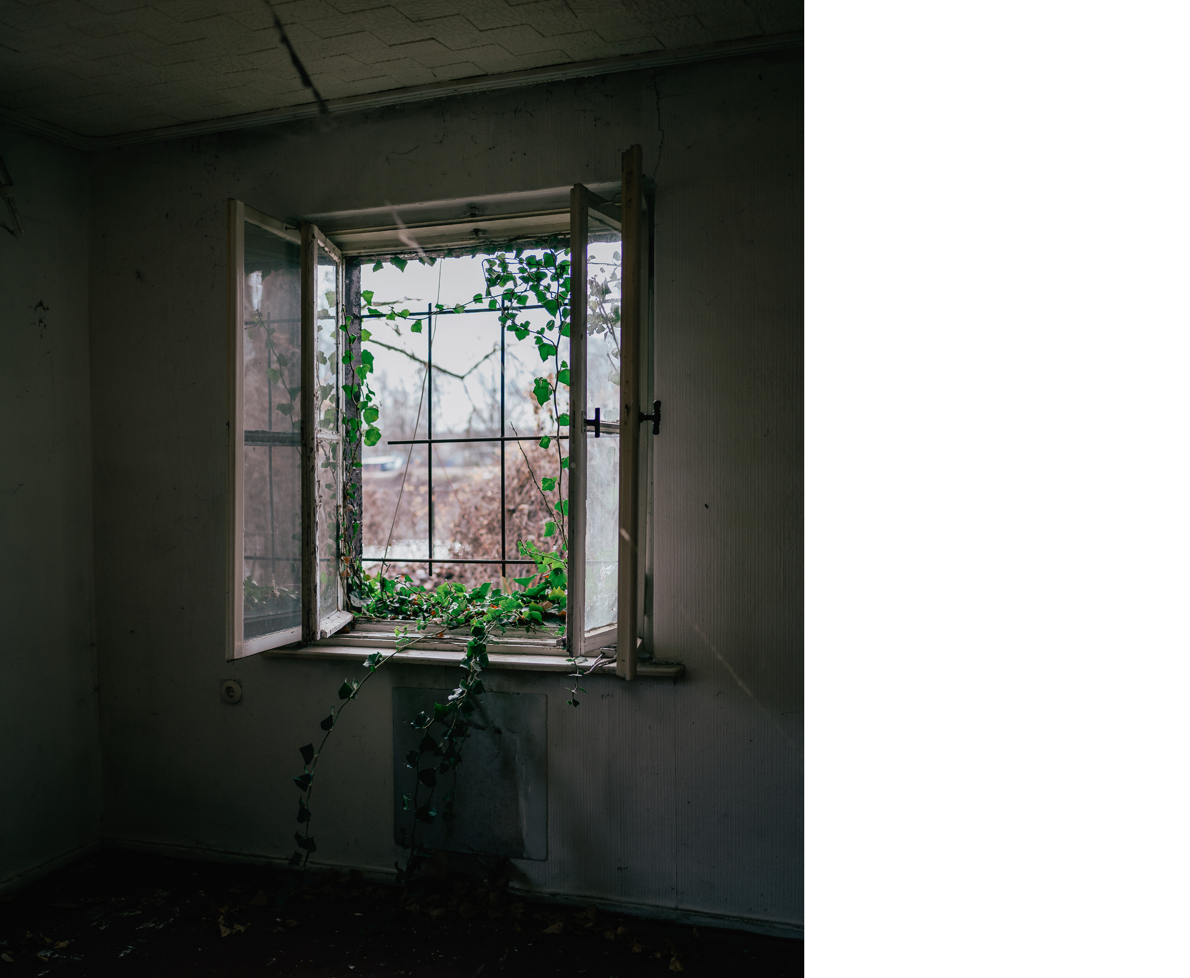 Benjamin Sauer - Fotograf