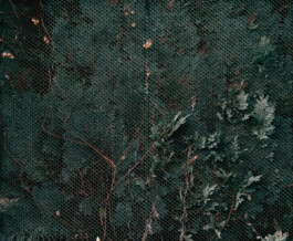 Benjamin Sauer - Fotograf