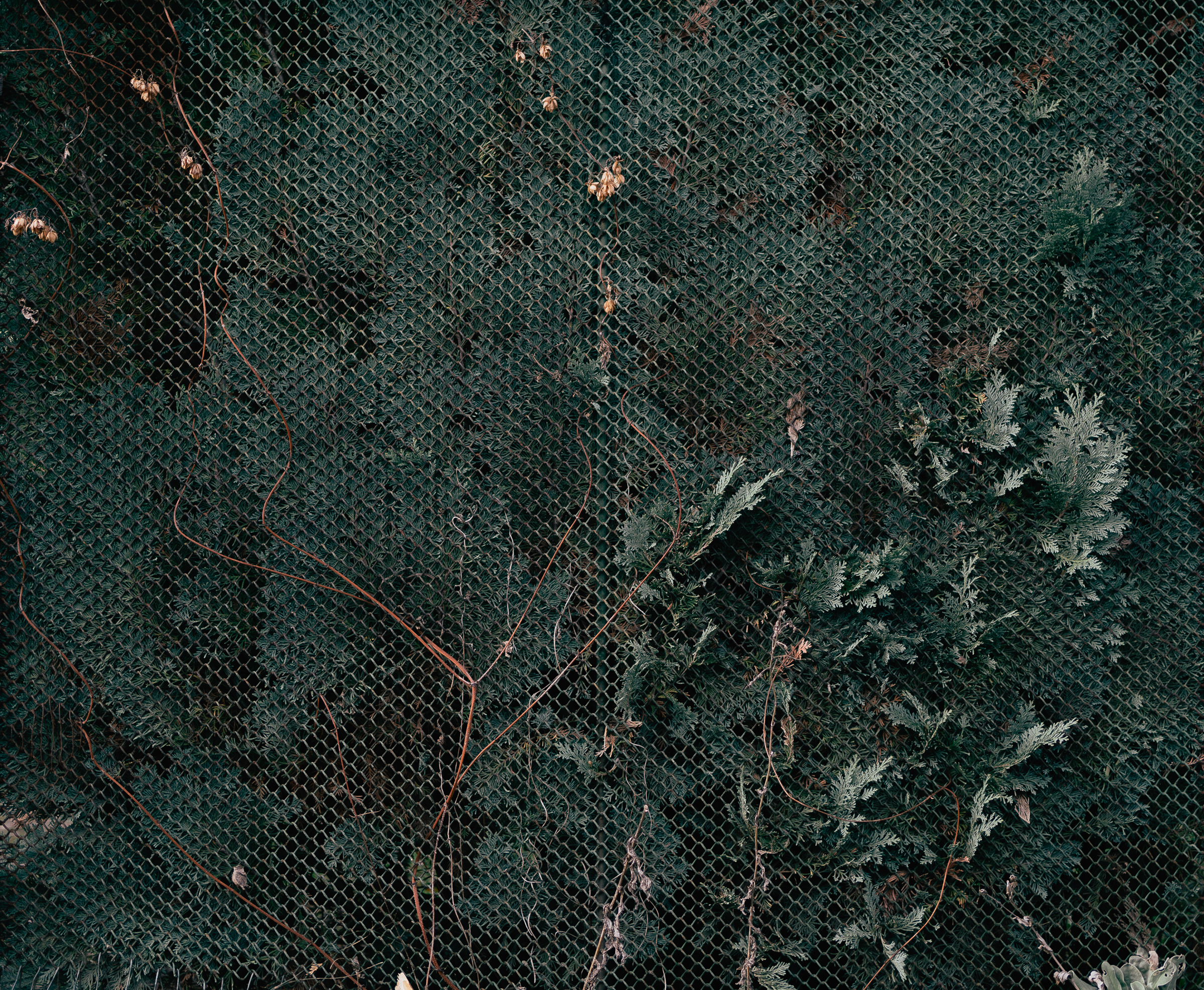 Benjamin Sauer - Fotograf