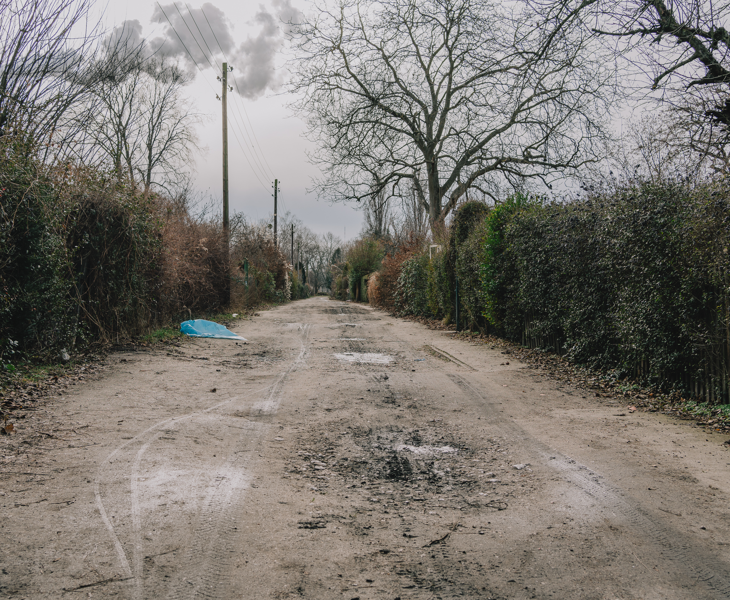 Benjamin Sauer - Fotograf