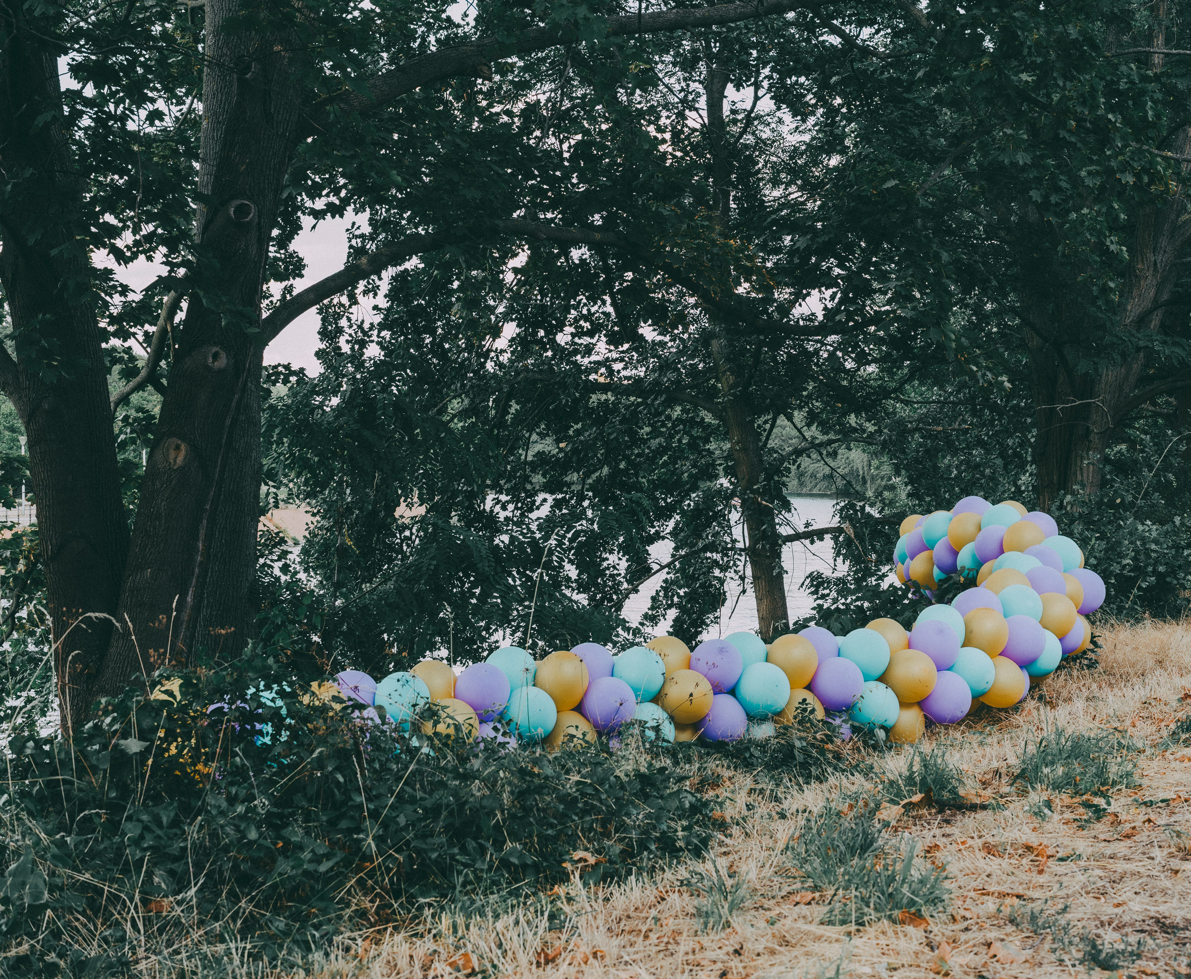Bunte Ballons schmücken einen Baum am Wasser. 