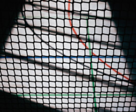 Benjamin Sauer - Fotograf