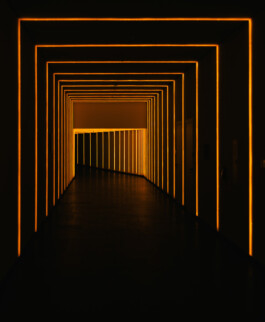 Benjamin Sauer - Fotograf