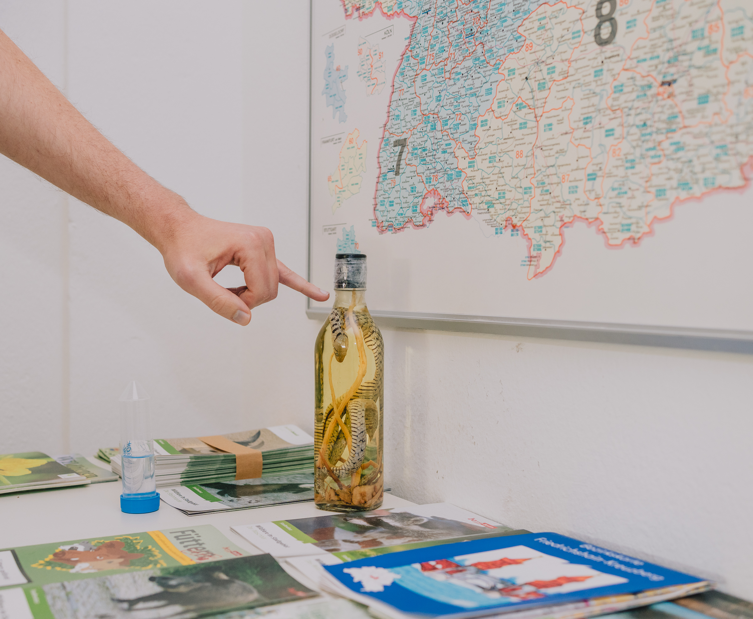 Benjamin Sauer - Fotograf