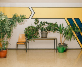 Benjamin Sauer - Fotograf