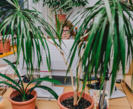 Benjamin Sauer - Fotograf