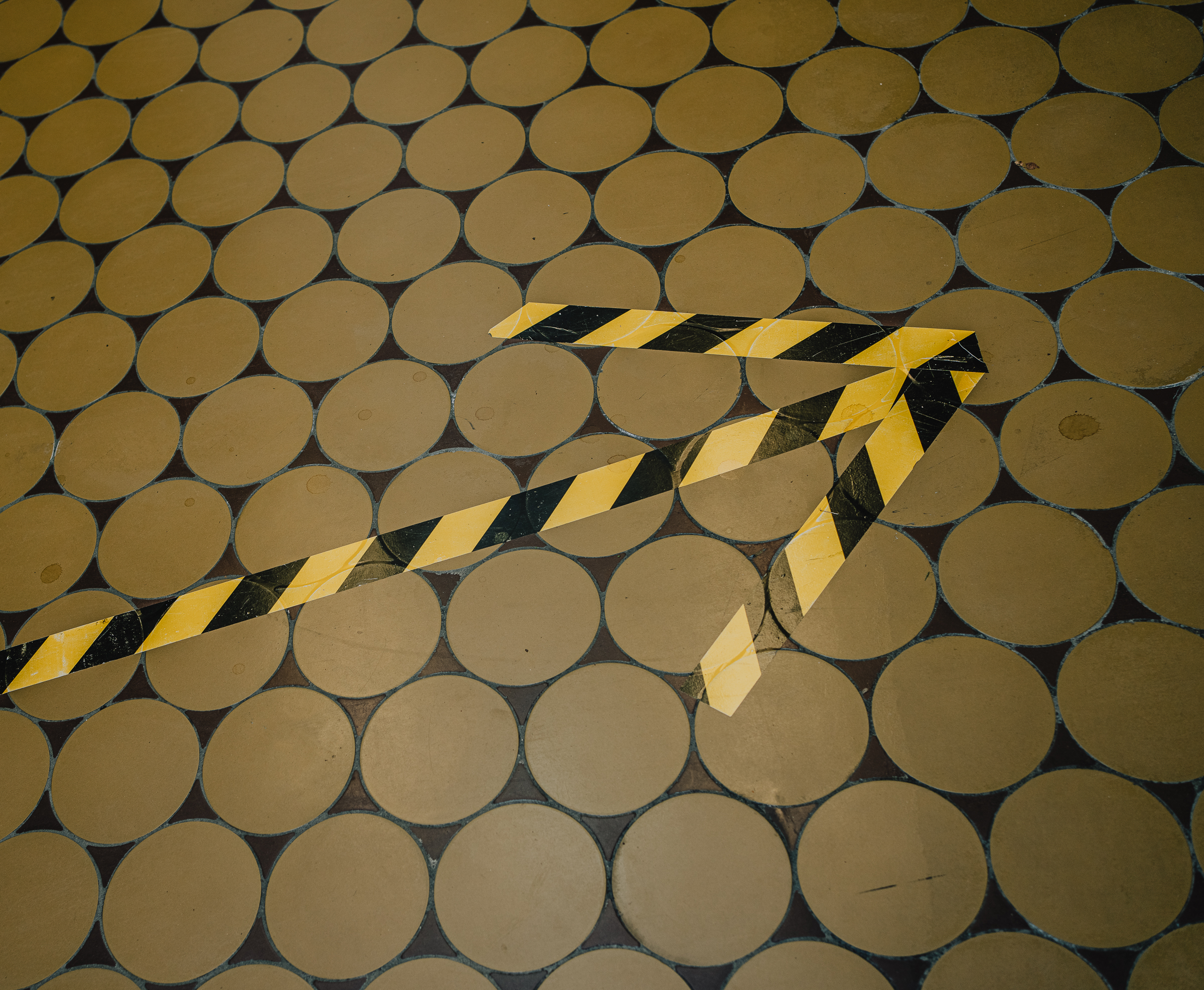 Benjamin Sauer - Fotograf