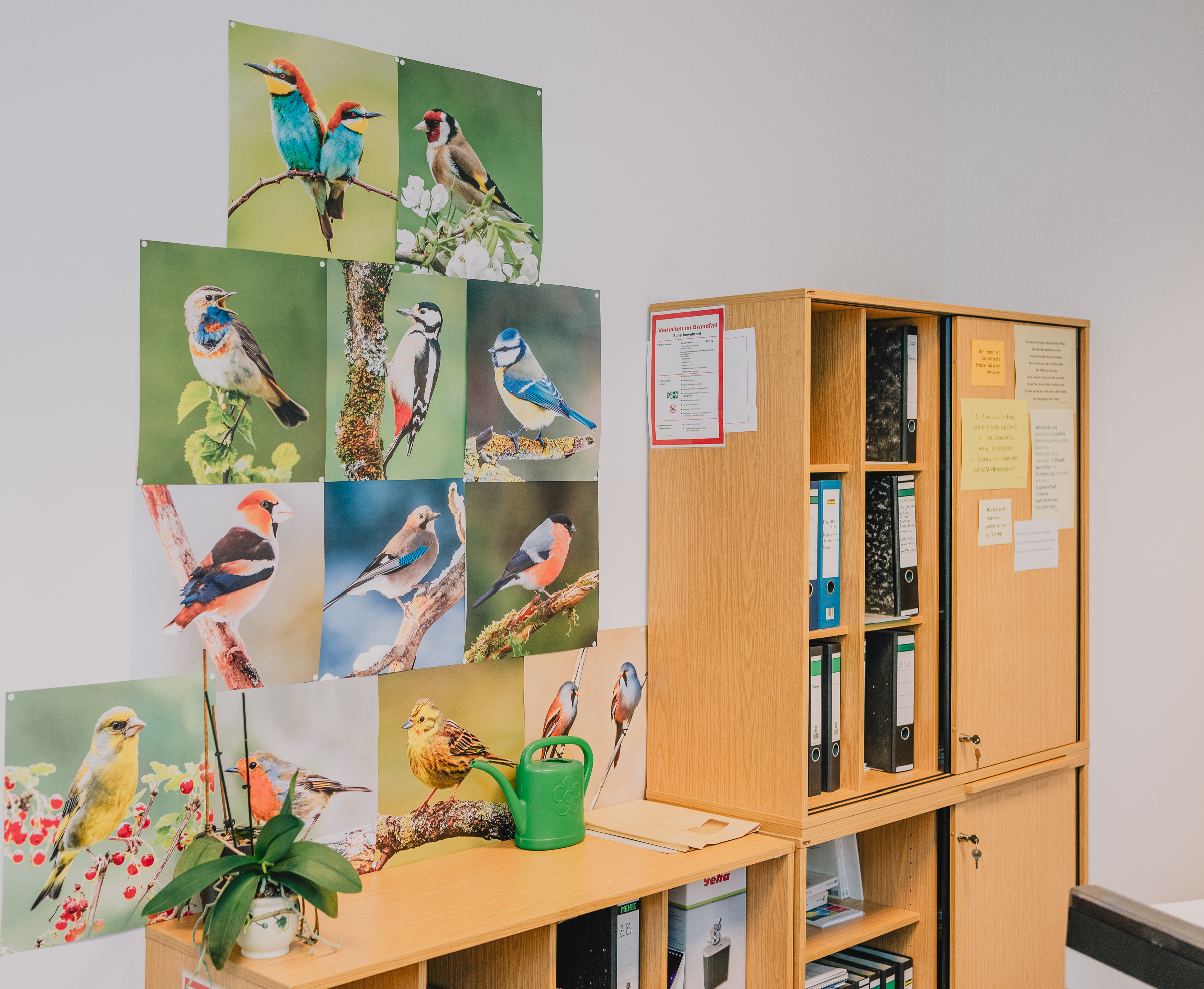 Benjamin Sauer - Fotograf