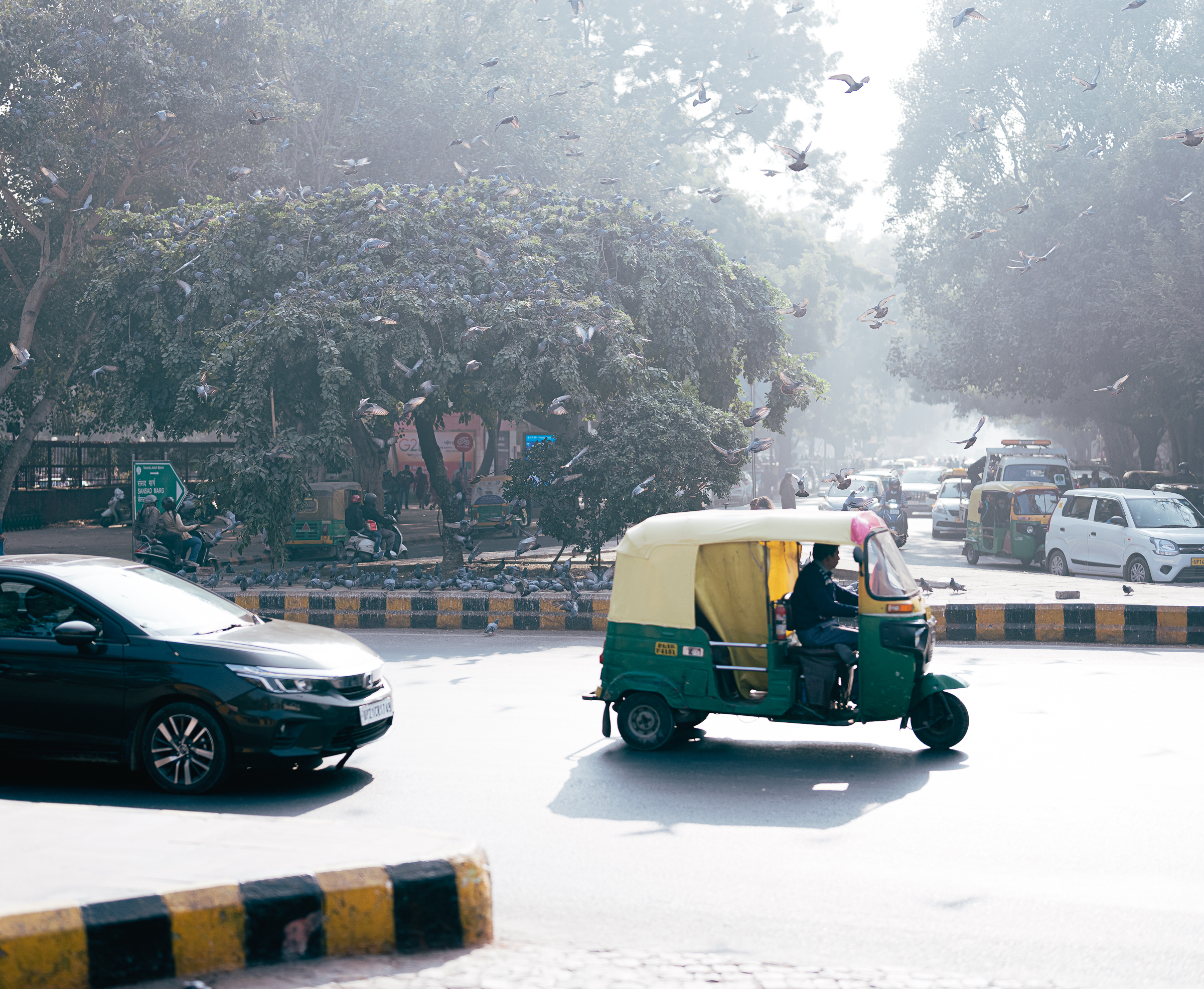 Benjamin Sauer - Fotograf