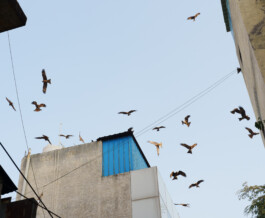 Benjamin Sauer - Fotograf