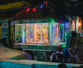 Benjamin Sauer - Fotograf