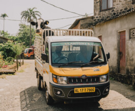 Benjamin Sauer - Fotograf