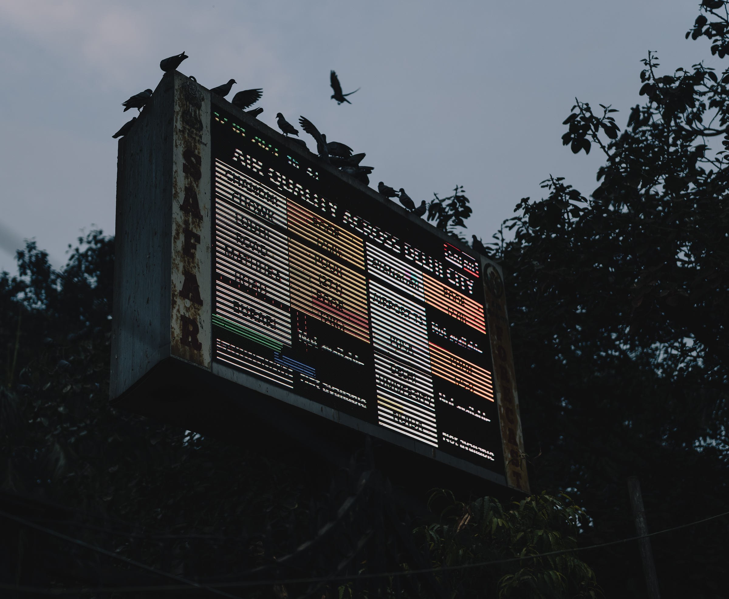 Benjamin Sauer - Fotograf