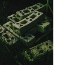 Benjamin Sauer - Fotograf