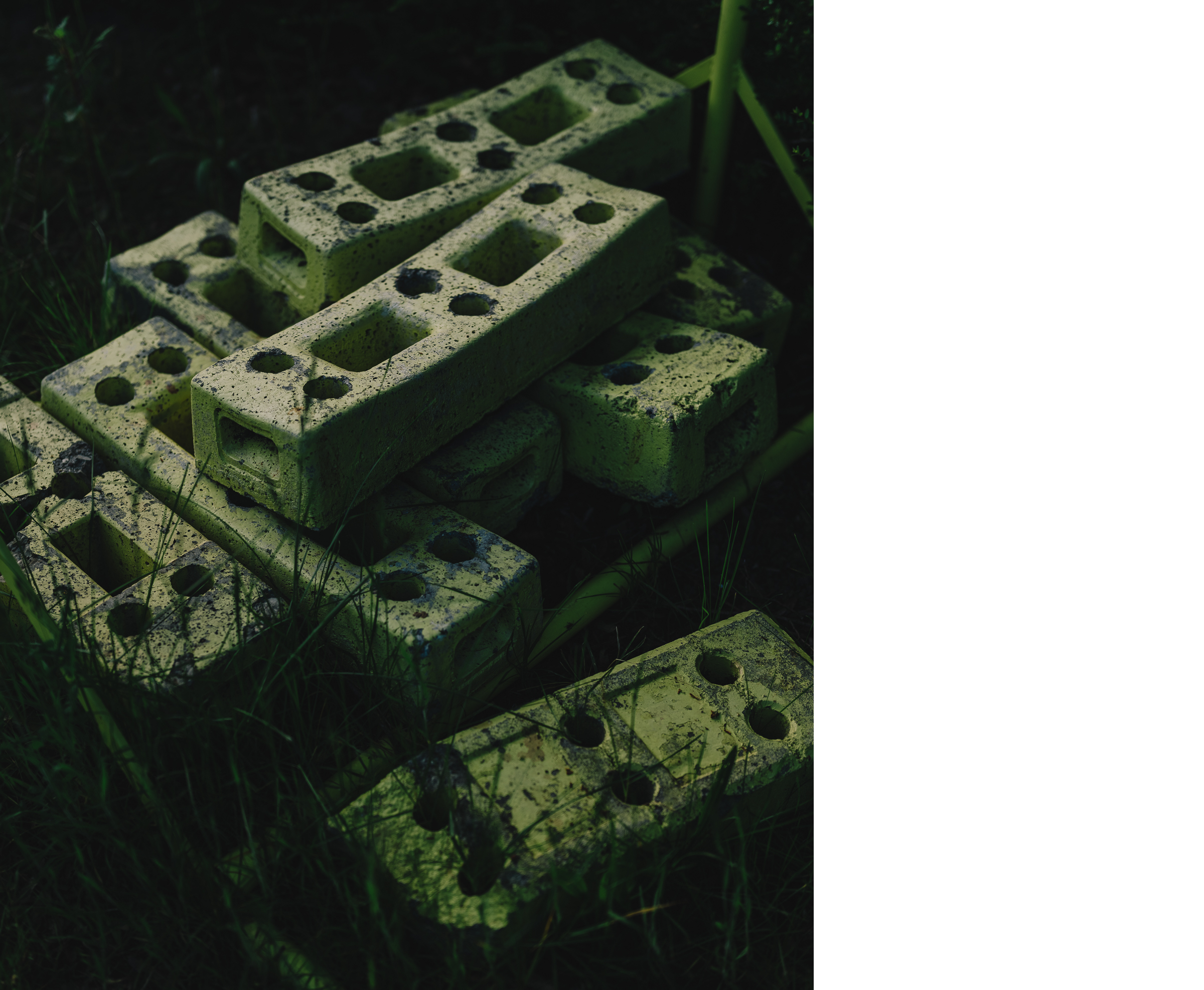 Benjamin Sauer - Fotograf