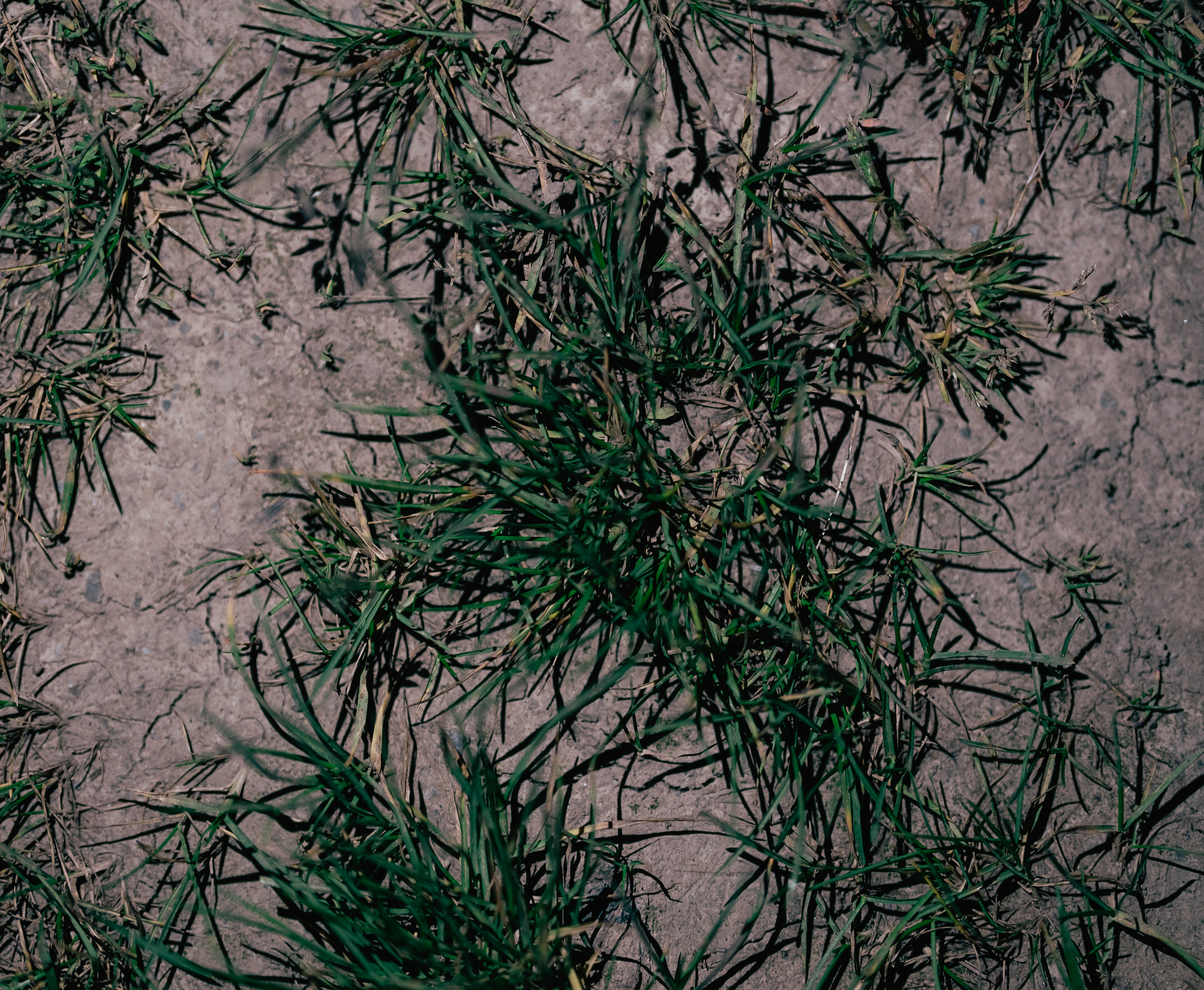 Benjamin Sauer - Fotograf