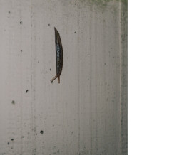 Benjamin Sauer - Fotograf