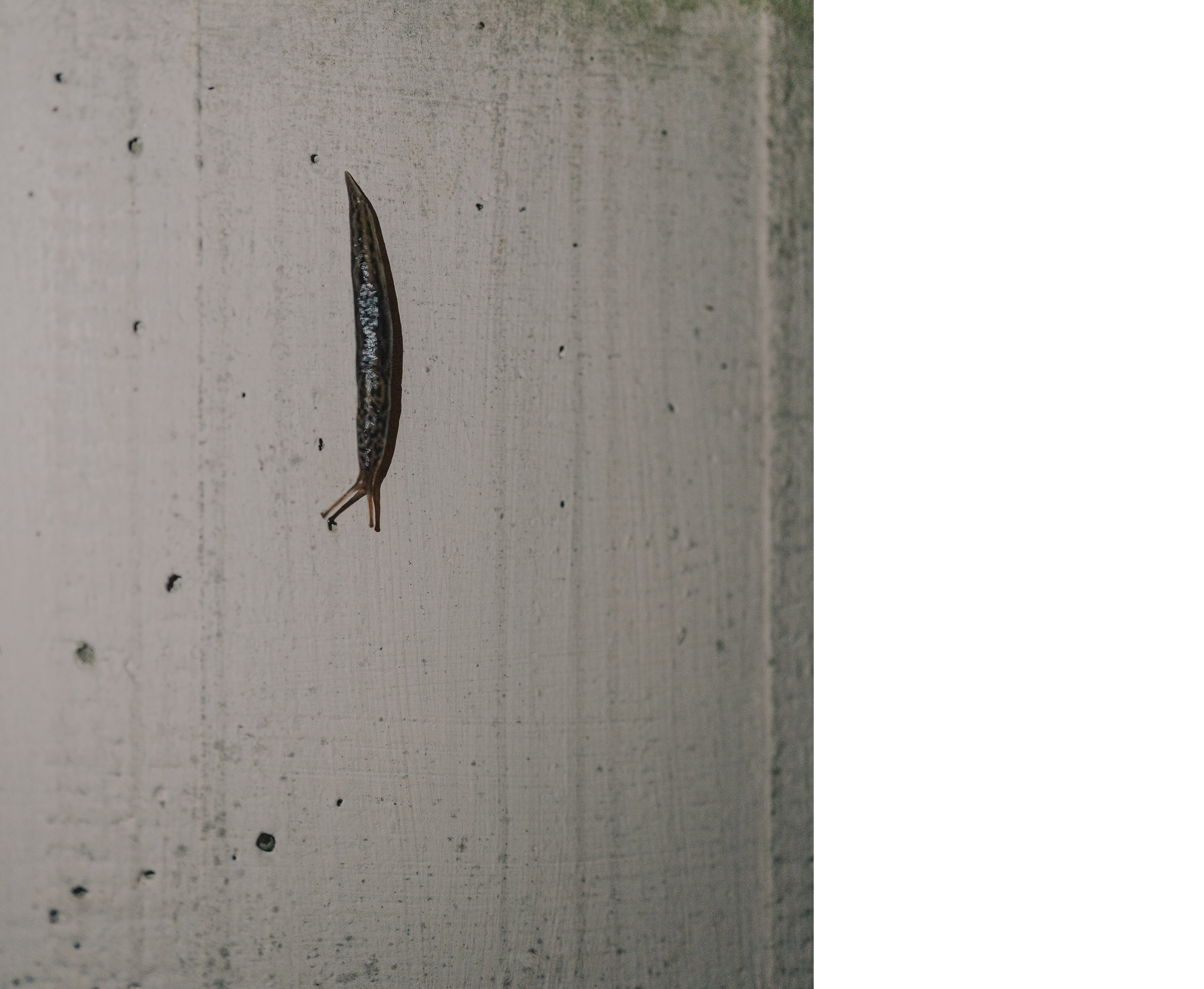 Benjamin Sauer - Fotograf