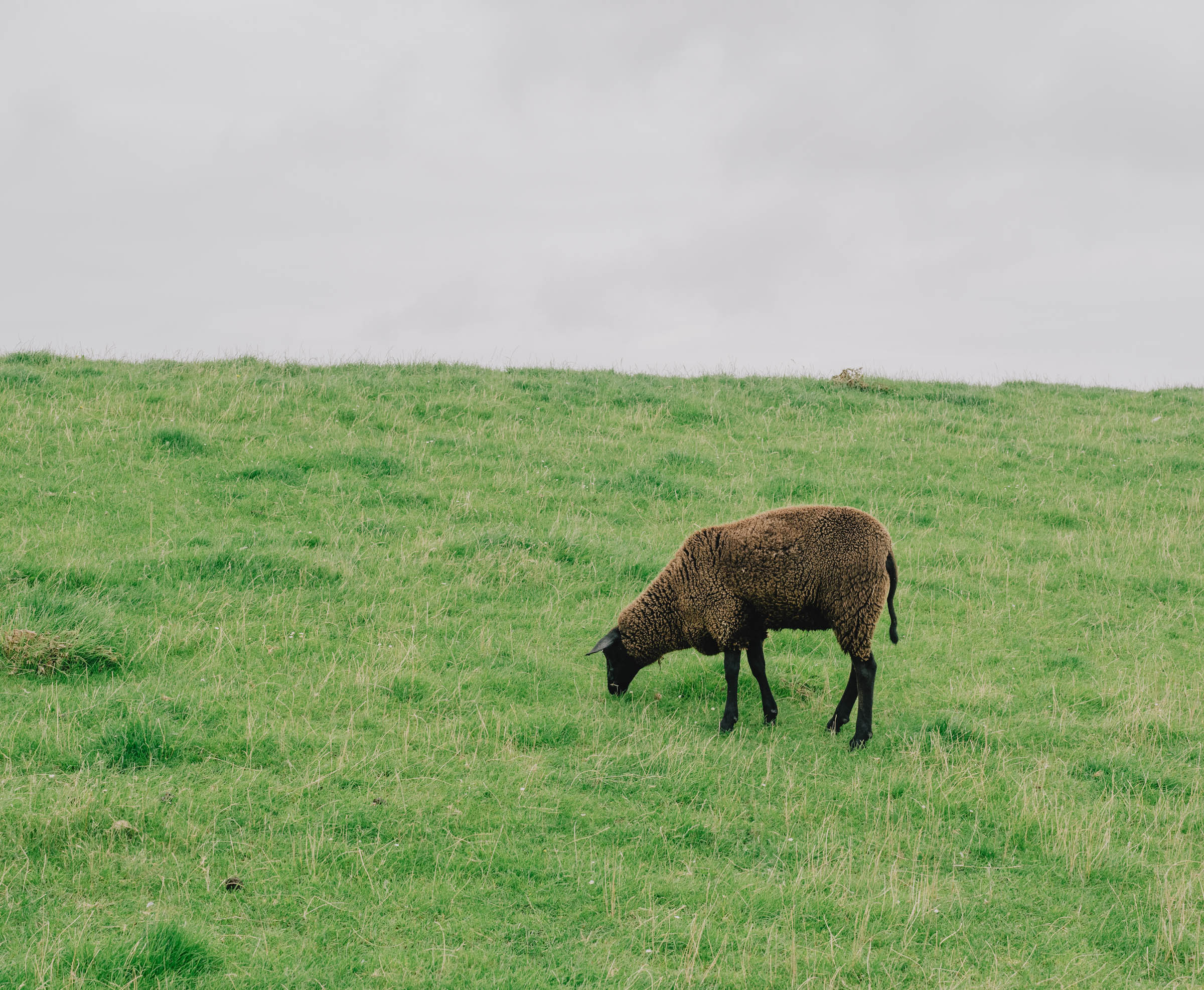 Benjamin Sauer - Fotograf