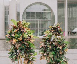 Benjamin Sauer - Fotograf