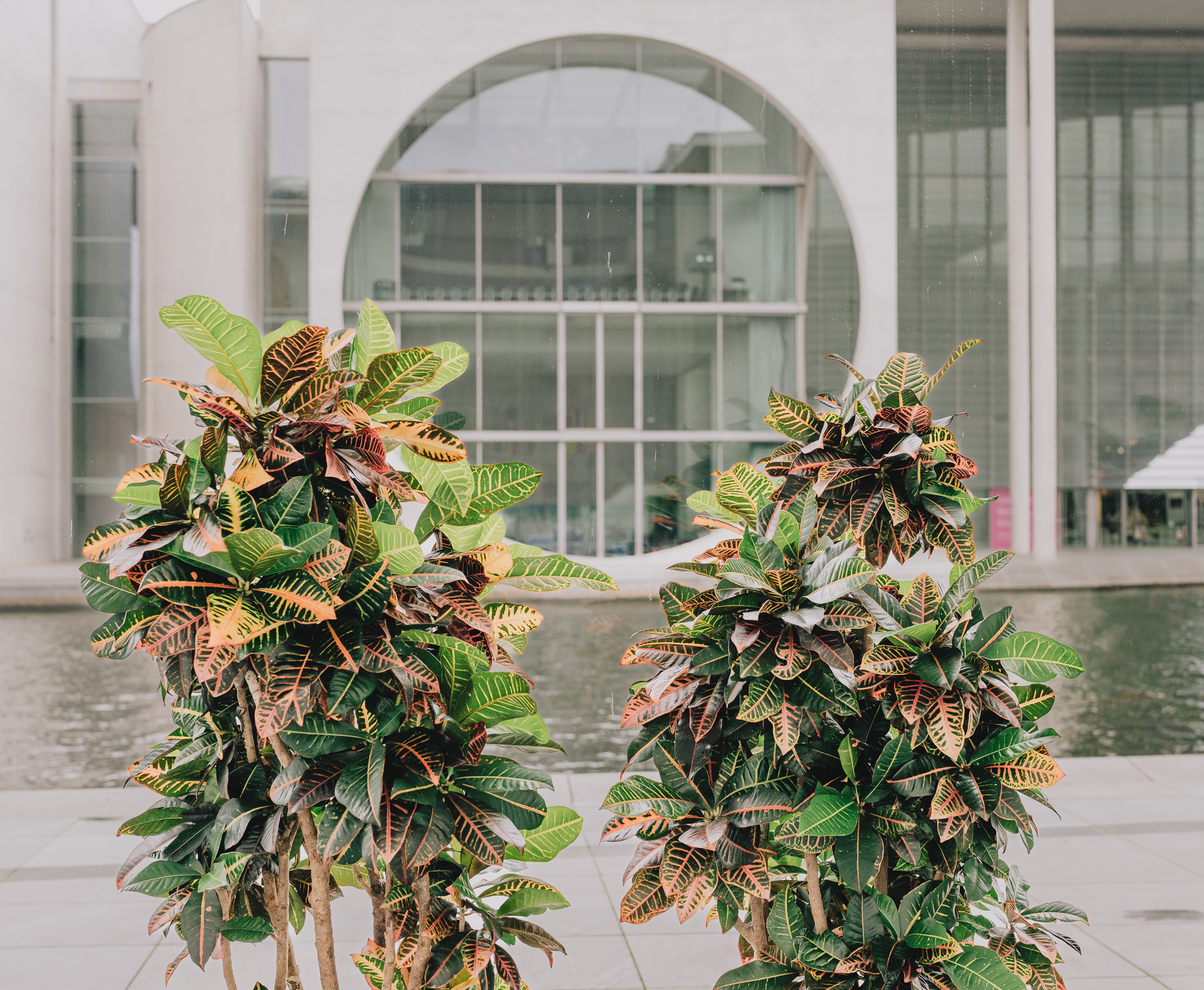 Benjamin Sauer - Fotograf