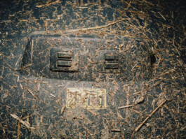 Benjamin Sauer - Fotograf