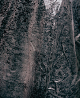 Benjamin Sauer - Fotograf