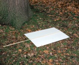 Benjamin Sauer - Fotograf