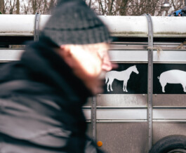 Benjamin Sauer - Fotograf