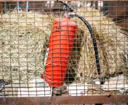 Benjamin Sauer - Fotograf