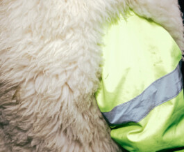 Benjamin Sauer - Fotograf