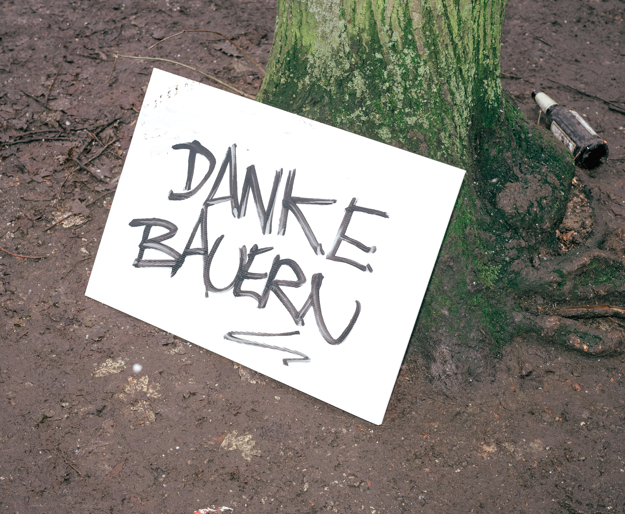 Benjamin Sauer - Fotograf